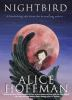Book cover for "Nightbird".