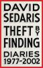 Book cover for "Theft by finding".