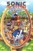 Book cover for "Sonic the Hedgehog archives".