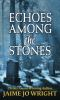 Book cover for "Echoes among the Stones".