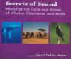 Book cover for "Secrets of sound".