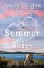 Book cover for "The summer skies".
