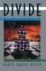 Book cover for "The divide".