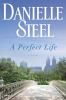 Book cover for "A perfect life".