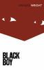 Book cover for "Black boy".