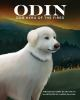 Book cover for "Odin, dog hero of the fires".