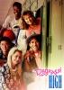 Book cover for "Degrassi High - Season 1".