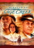 Book cover for "Miracle at Sage Creek".
