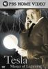 Book cover for "Tesla".