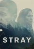 Book cover for "Stray".