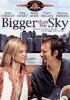 Book cover for "Bigger than the sky".