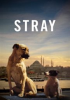 Book cover for "Stray".