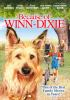 Book cover for "Because of Winn-Dixie".
