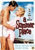Book cover for "A summer place".