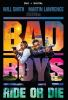 Book cover for "Bad boys".