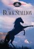 Book cover for "The black stallion".
