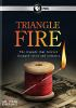 Book cover for "Triangle fire".