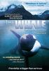 Book cover for "The whale".