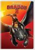 Book cover for "How to train your dragon 2".