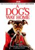Book cover for "A dog's way home".