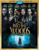 Book cover for "Into the woods".