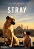 Book cover for "Stray".