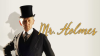 Book cover for "Mr. Holmes".