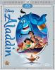 Book cover for "Aladdin".