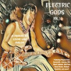 Book cover for "Electric Gods Series Vol. 1- A Tribute To Eddie Van Halen".