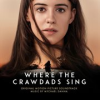 Book cover for "Where The Crawdads Sing".
