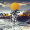 Book cover for "Small World".