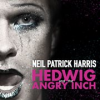 Book cover for "Hedwig And The Angry Inch Original Broadway Cast Recording".