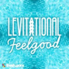 Book cover for "Levitational Feel Good".
