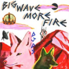 Book cover for "Big Wave More Fire".