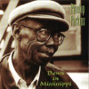Book cover for "Down In Mississippi".