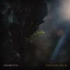 Book cover for "Ensuing Calm".