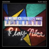 Book cover for "Play Nice".