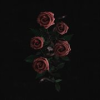 Book cover for "Roses In The Concrete".