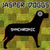 Book cover for "Synchronic".