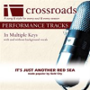 Book cover for "It's Just Another Red Sea (Made Popular By Gold City) (Performance Track)".