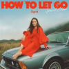 Book cover for "How To Let Go".