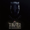 Book cover for "Black Panther: Wakanda Forever - Music From And Inspired By".
