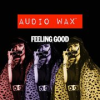 Book cover for "Feeling Good".