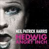Book cover for "Hedwig and the Angry Inch".