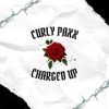 Book cover for "Charged Up".