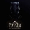 Book cover for "Black Panther".
