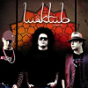 Book cover for "Maktub".