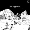 Book cover for "Hindsight".