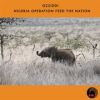 Book cover for "Nigeria Operation Feed The Nation".