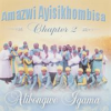 Book cover for "Alibongwe Igama".